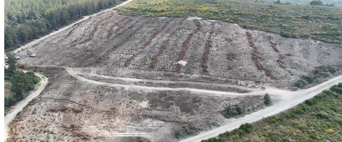 Adsız tasarım (38)